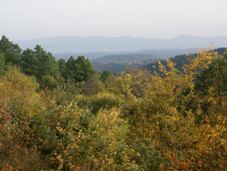 Location de Dojo en Ardche