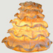 Meringue pt  poser